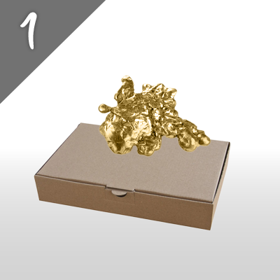 schritte-1-gold-versandart-waehlen